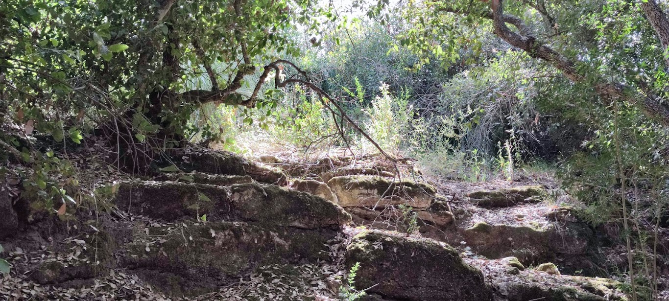 Uno scorcio del bosco di Santo Pietro presso la fontana del Cacciatore.