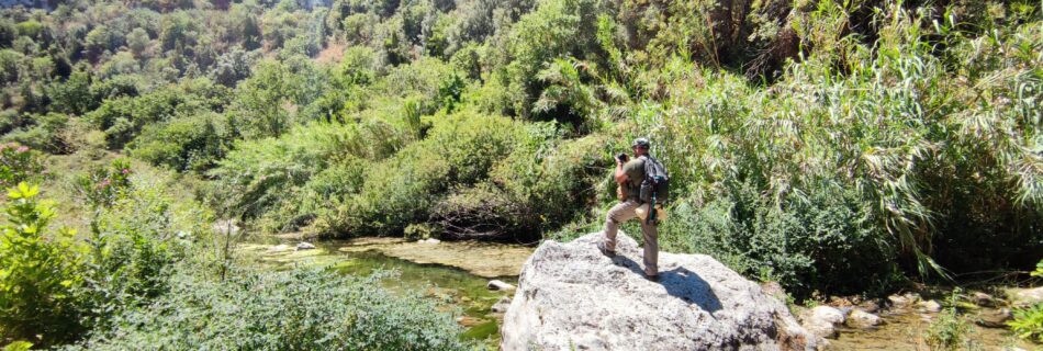 Uno scorcio del fiume Anapo nella riserva di Pantalica