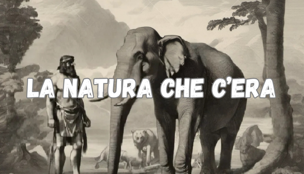 Sezione dedicata alla storia passata della natura siciliana. Animali e piante preistoriche ed estinte. Cambiamenti ambientali ed impatto degli insediamenti umani nell'ambiente.