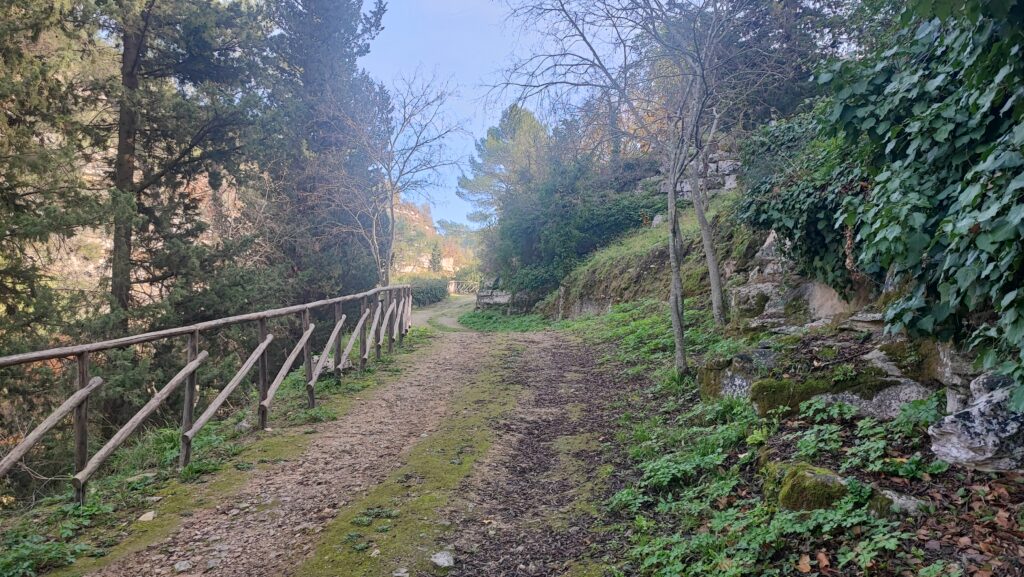 Uno dei sentieri della riserva di Cava dei Servi