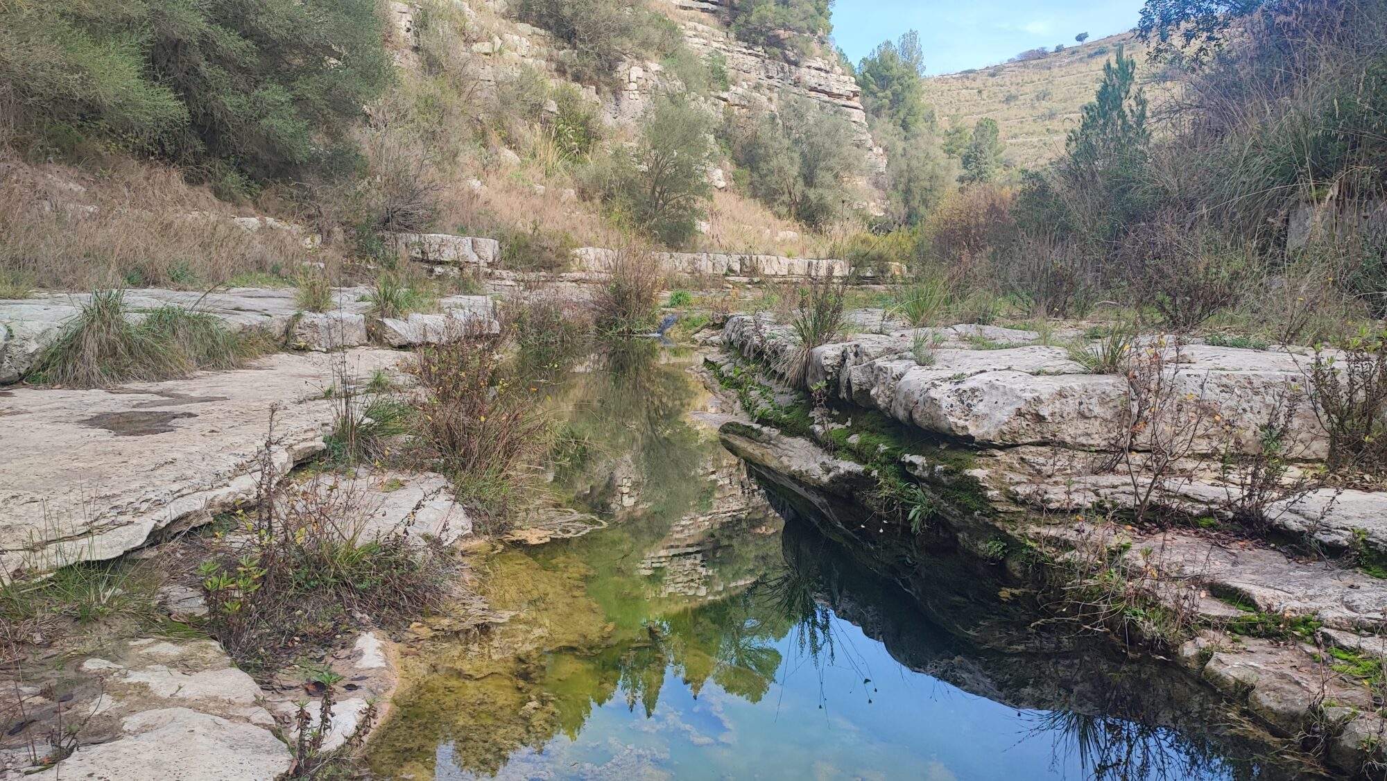 Torrente Tellesimo a Cava dei Servi