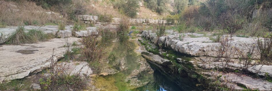 Torrente Tellesimo a Cava dei Servi