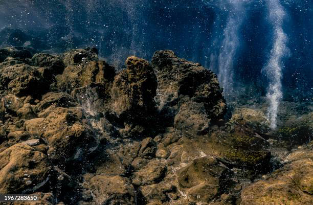 La lumaca “acida” dell’isola di Vulcano